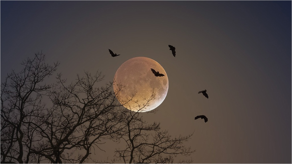 Vampire bats
